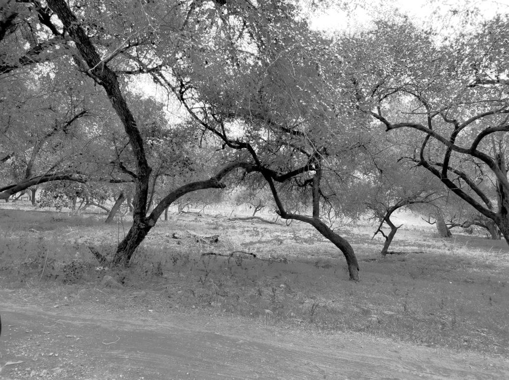 Photograph by Ritu Dinkar