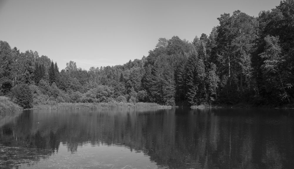 Фотография автора Andrey Pristyazhnyuk