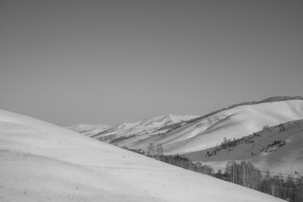 Фотография автора Andrey Pristyazhnyuk