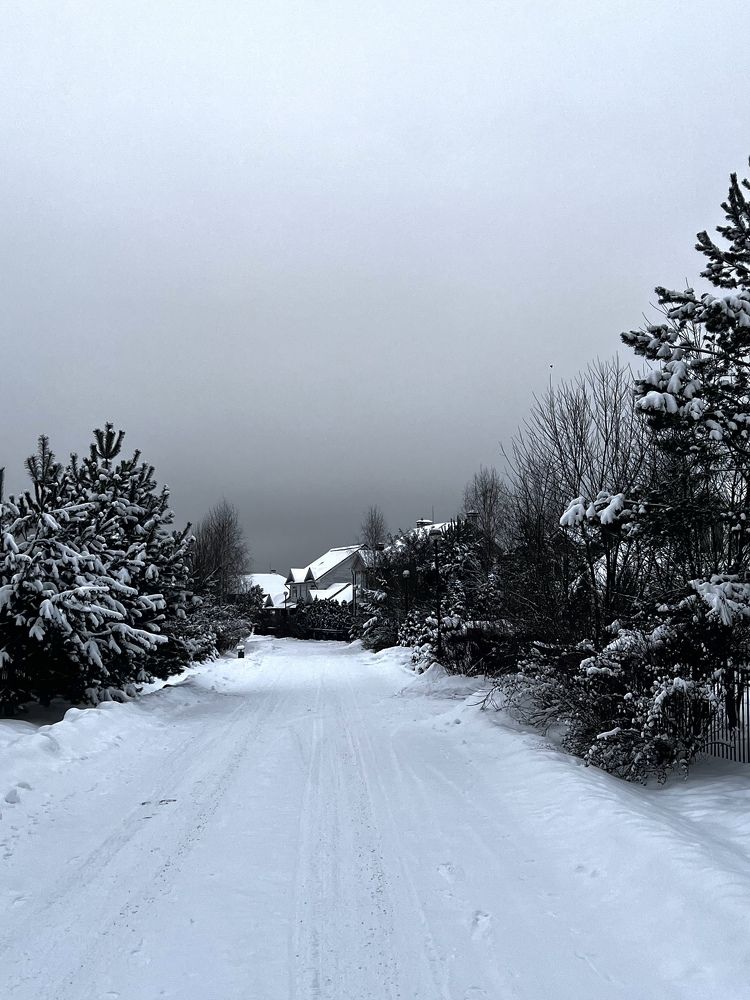 Фотография автора Maria Efremova