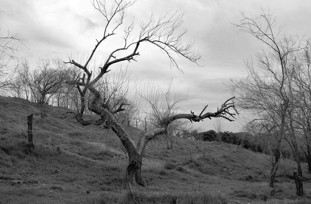 Photograph by Andre Beygijani