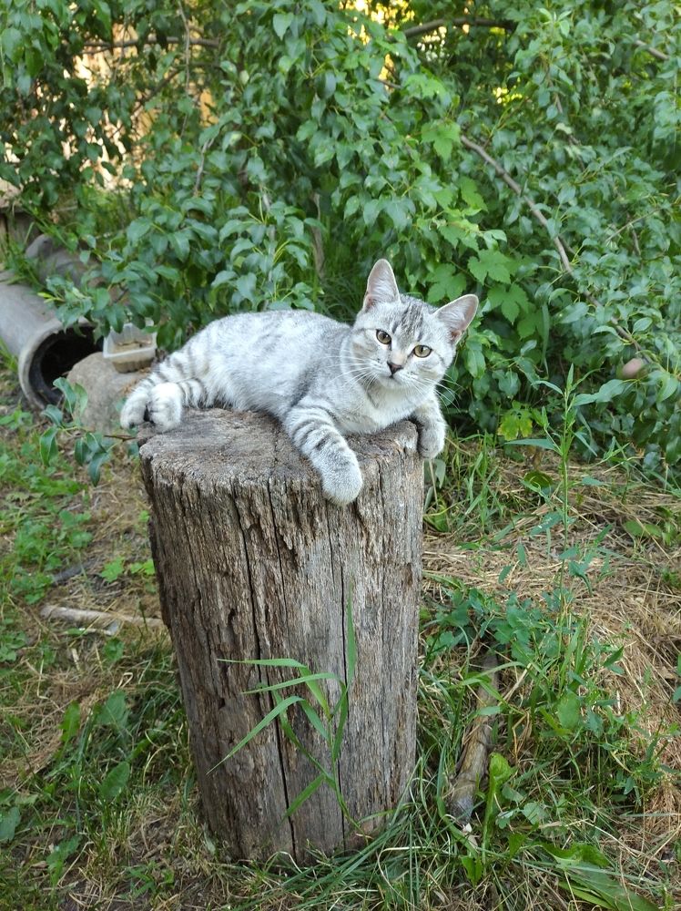 Photograph by Елена Коробченко