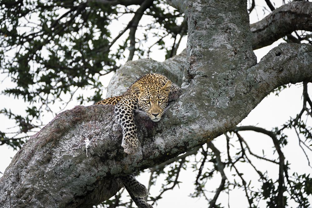 Photograph by Jayakumar MN