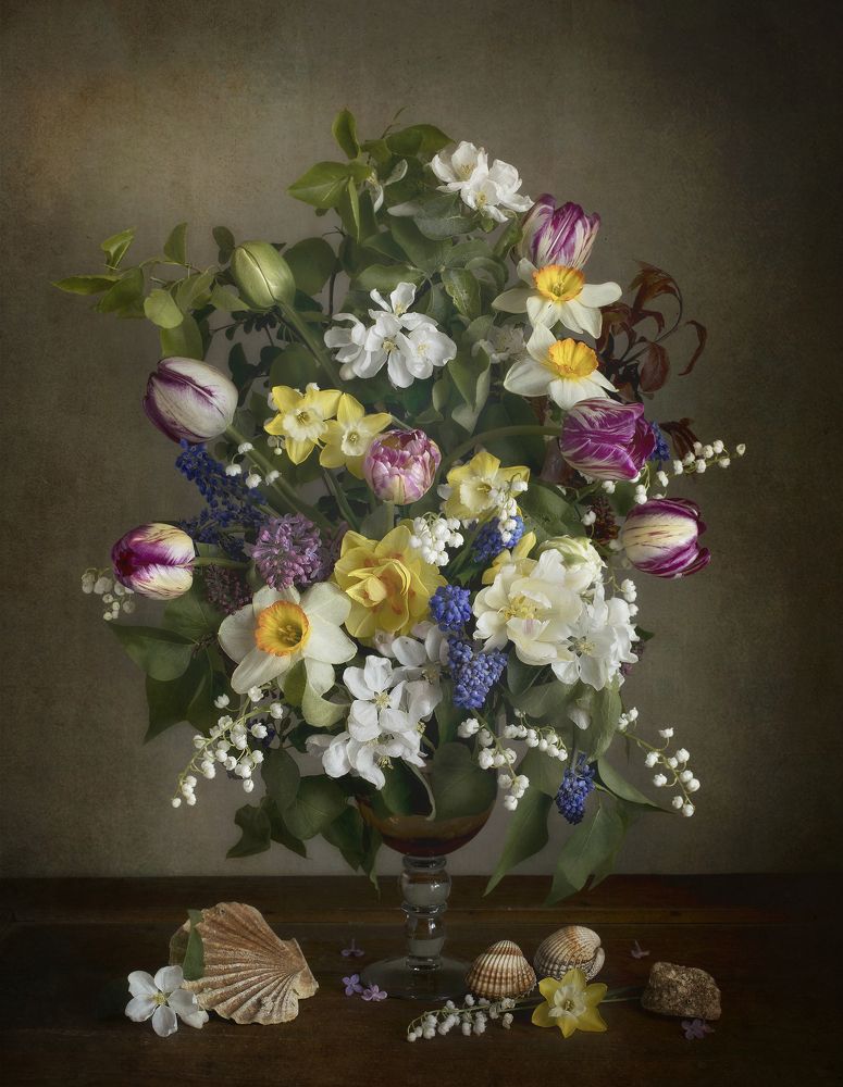 Still life with shells