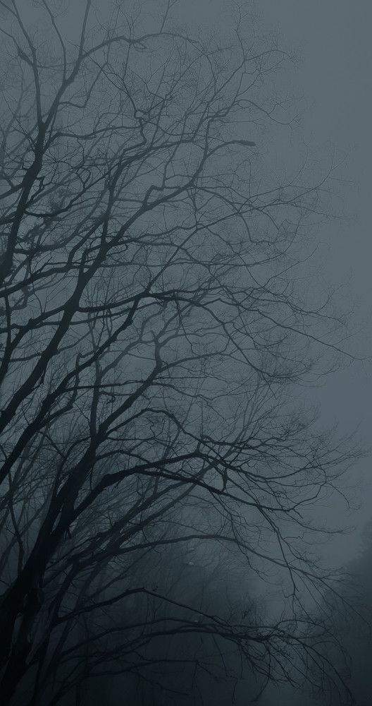 Фотография #7807406