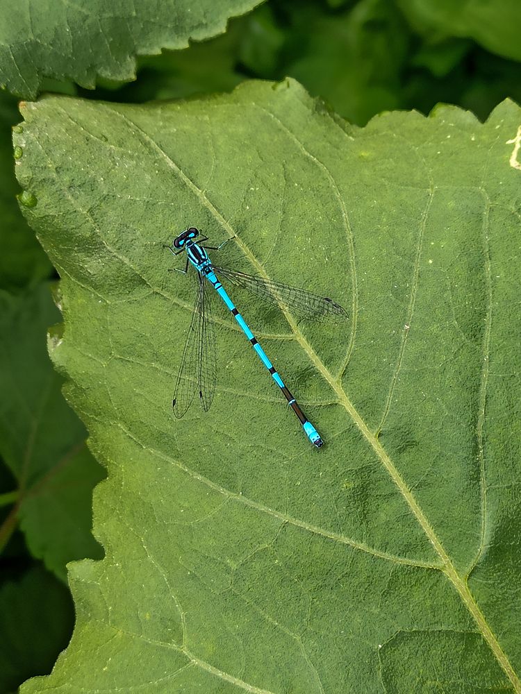 Photograph by Ирина Дегтярева