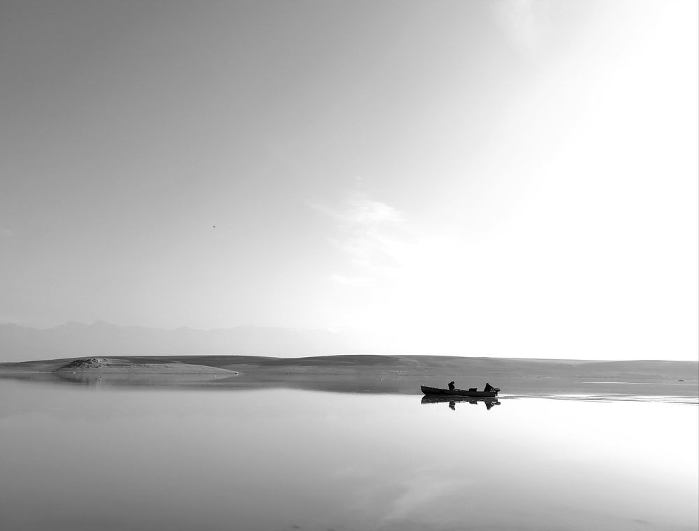Photo #7807494