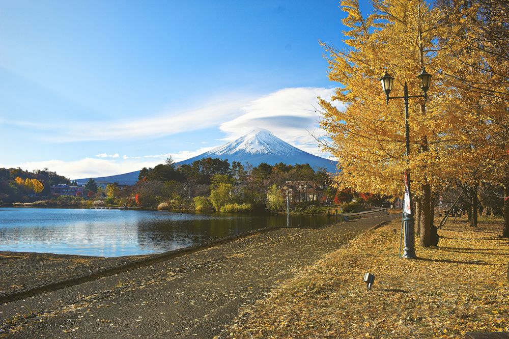 The Royal Fall and the crowned King