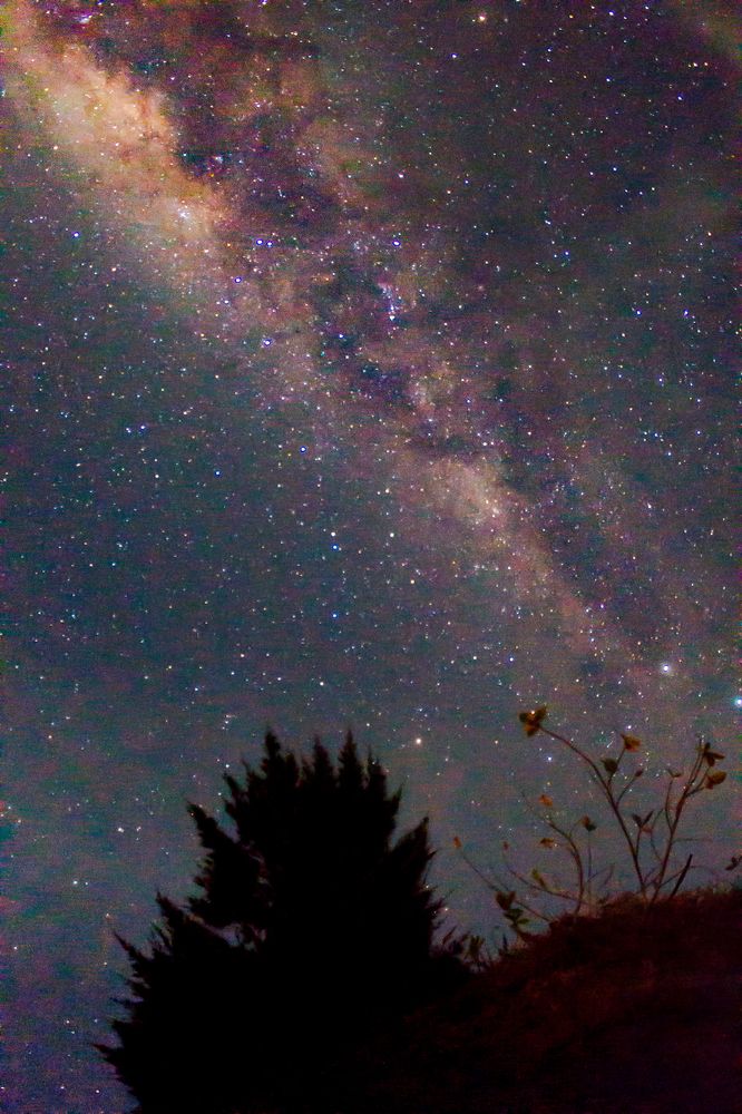 Photograph by R Taufit