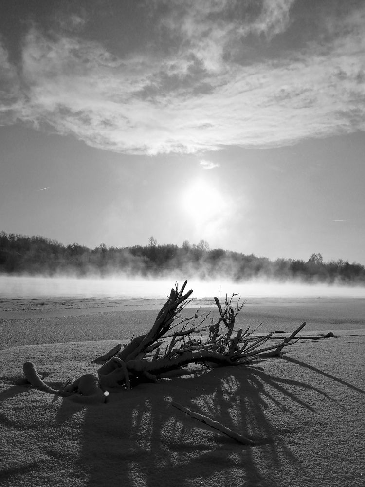 Photograph by Наталья Дубовкина