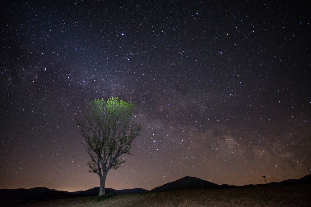 Photograph by Jan Orszagh