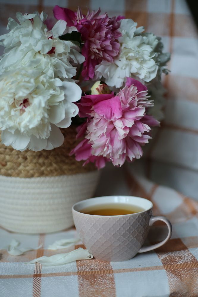 Photograph by Елена