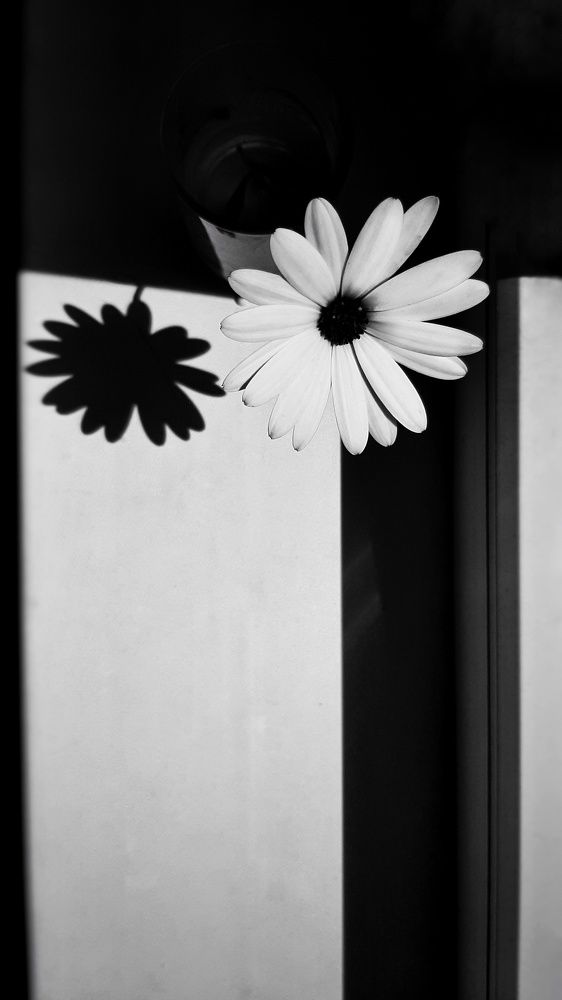 Photograph by Оксана Корепанова