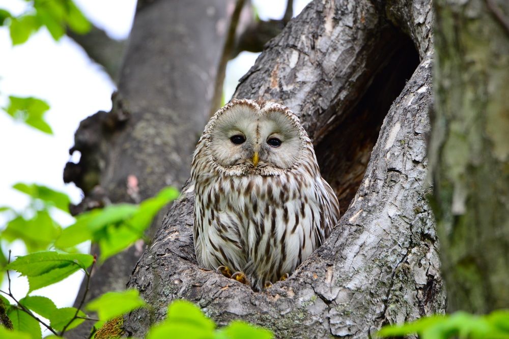 Photograph by Дмитрий Юдин