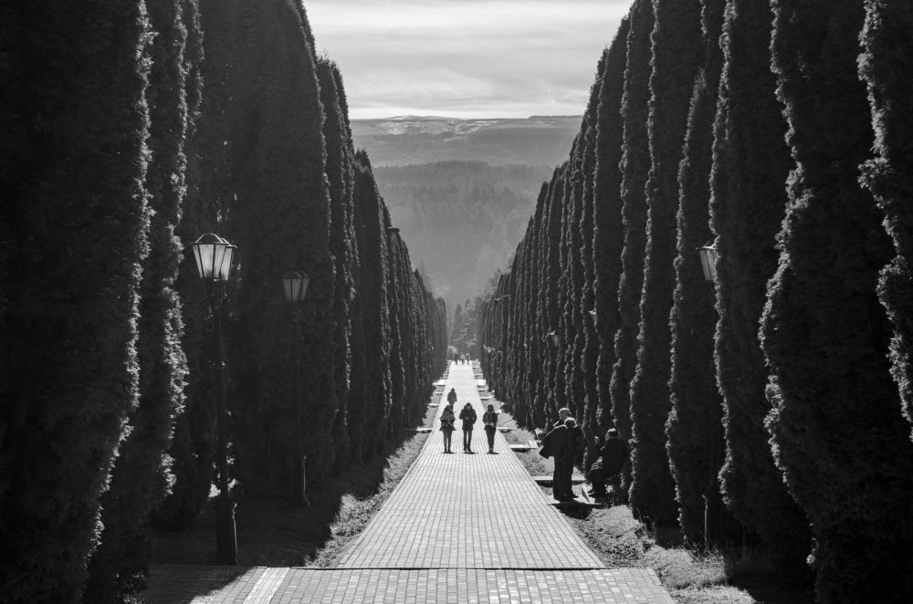 Photograph by Анастасия Кашенко