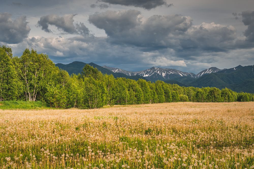 Photograph by Евгений Житников