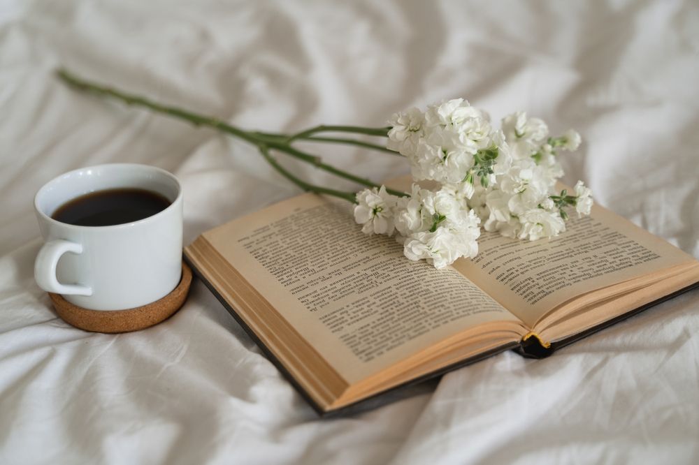 Уютный вечер