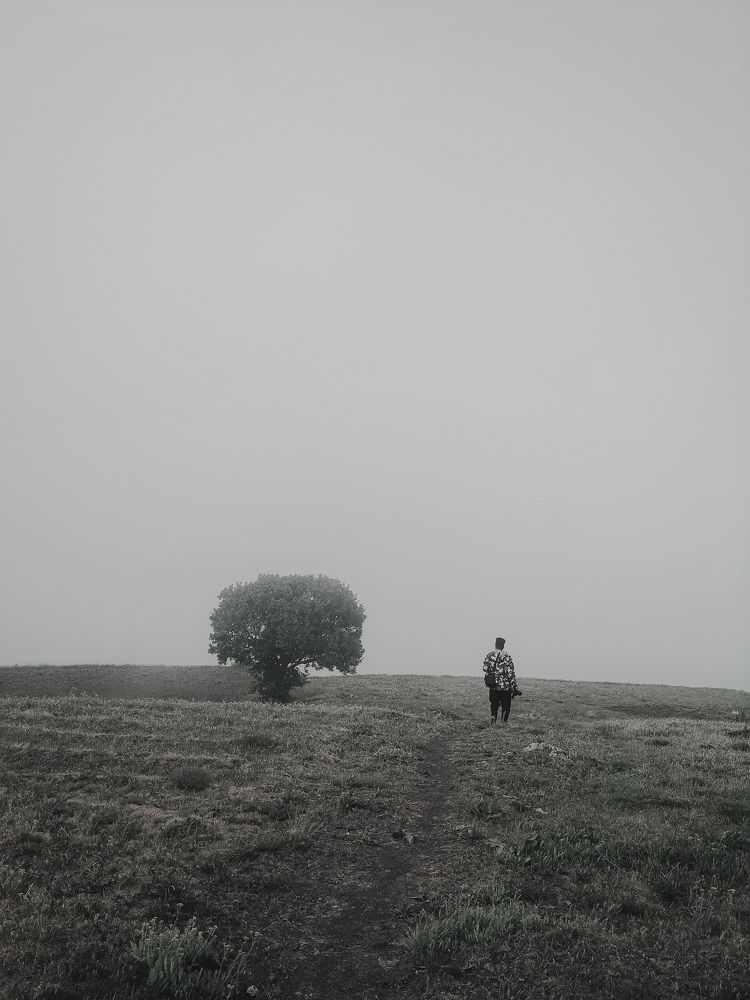 Photograph by Navid Tahmasbi