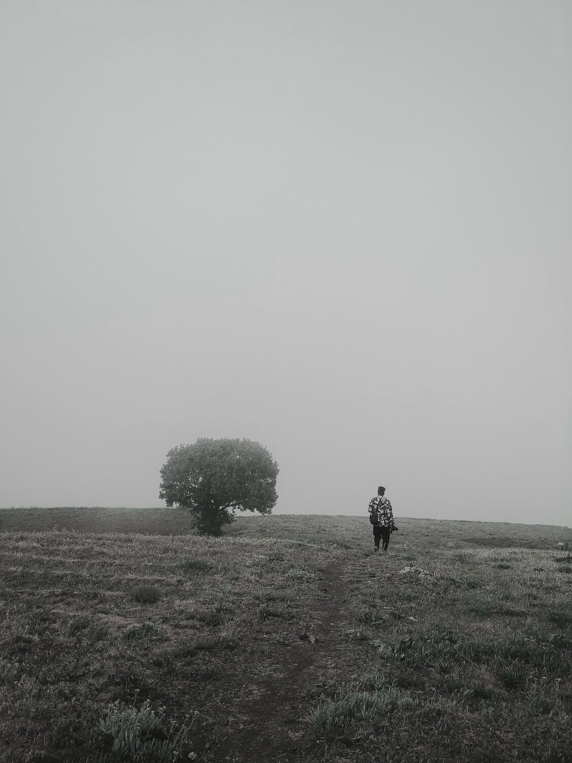 Photo #7807854