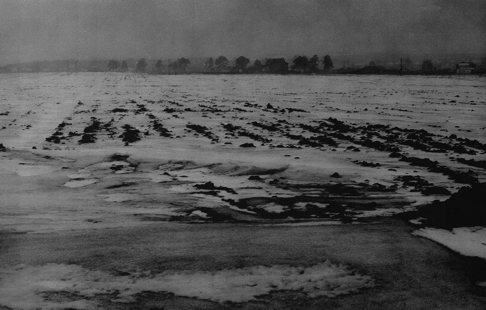 поле, русское поле....