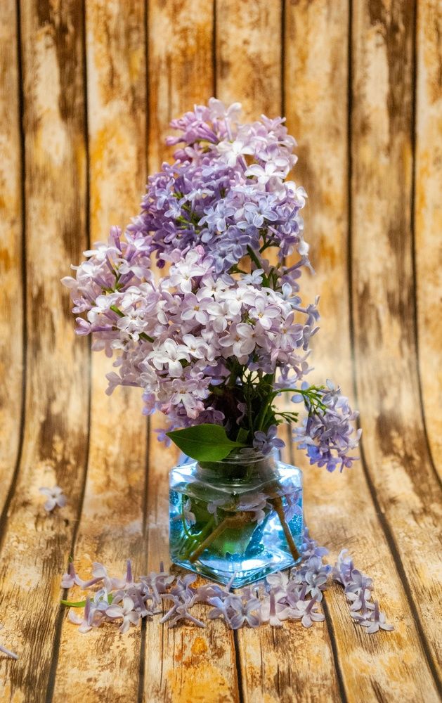 Photograph by Любовь Бусова