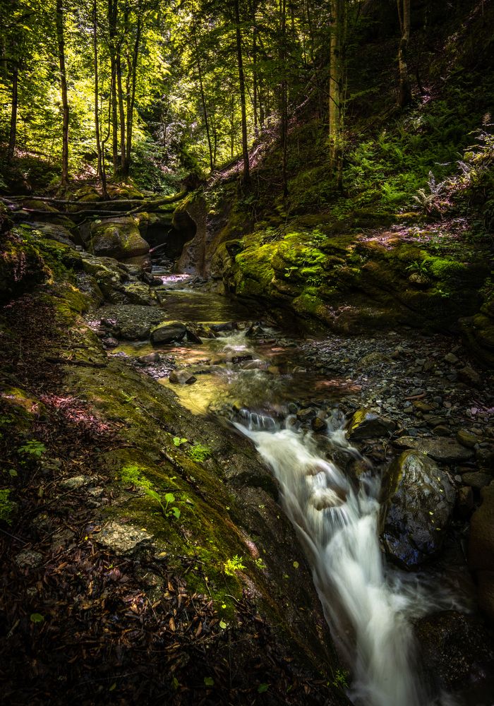 Photograph by Владимир Ганюшкин