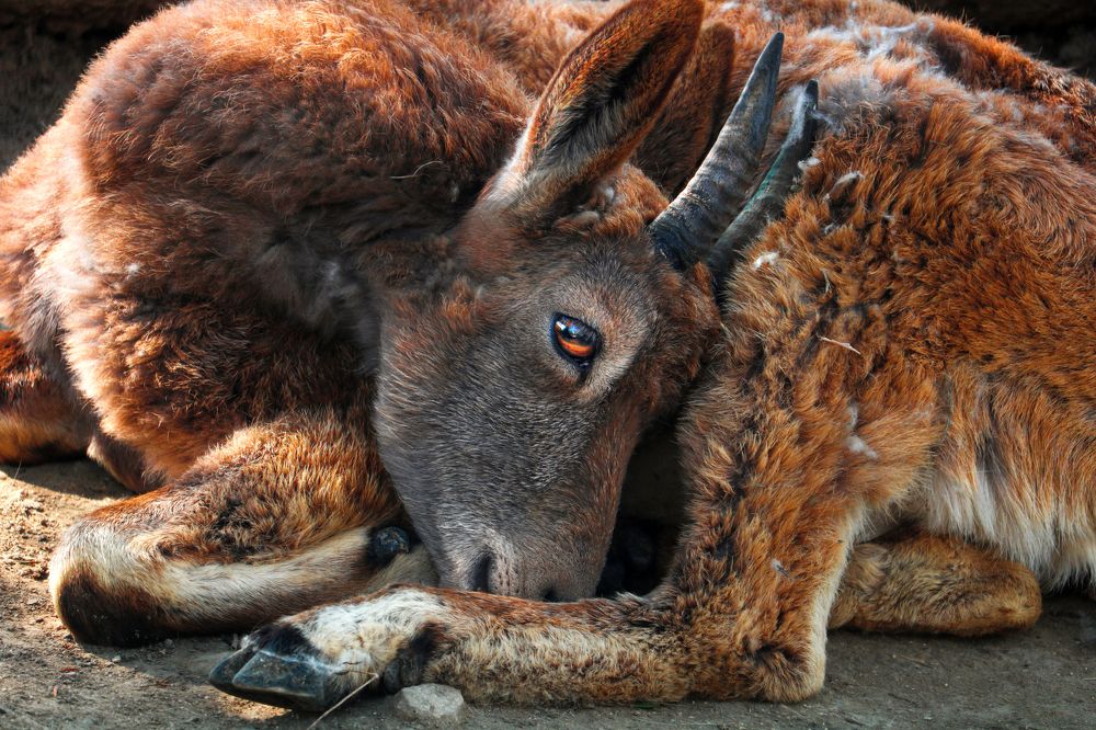 Photograph by Andrea Tijanic