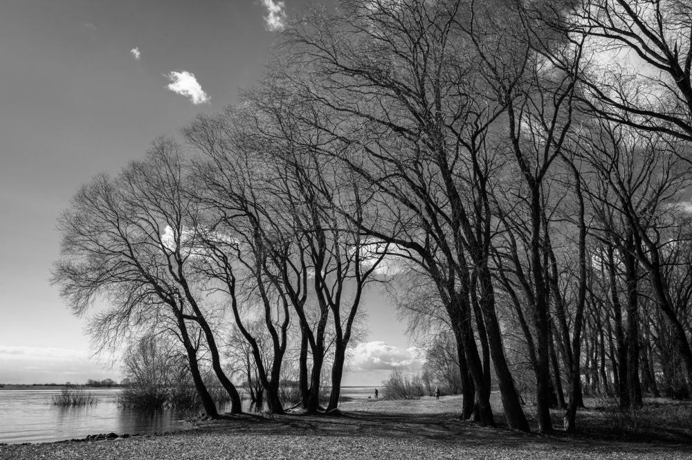 Фотография автора Андрей Васильев