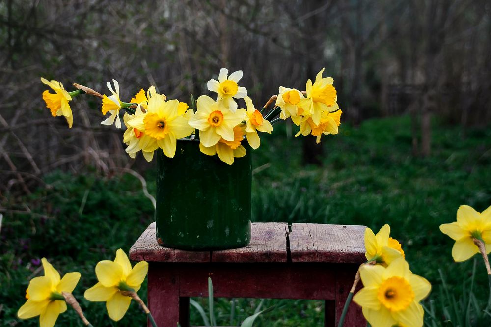 Photograph by Олеся