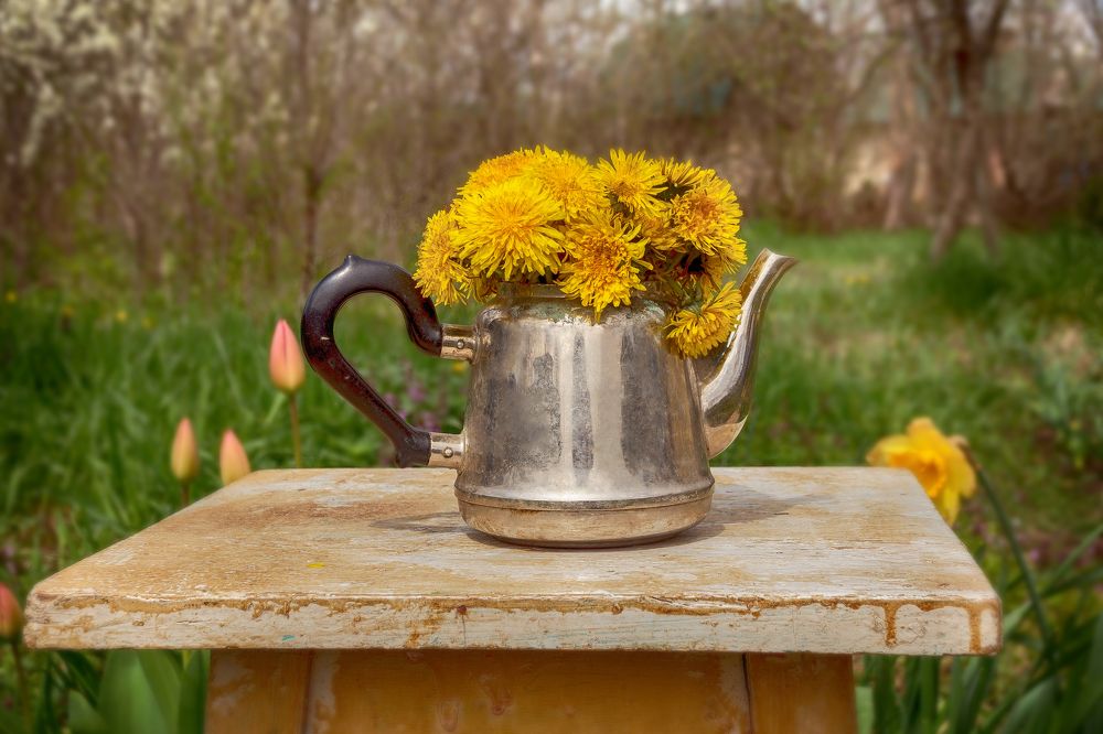 Photograph by Олеся