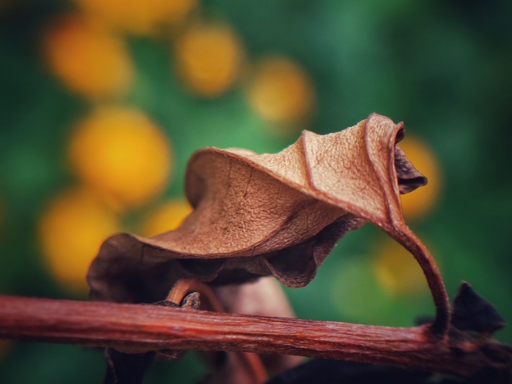 Photograph by Meilany Wijaya