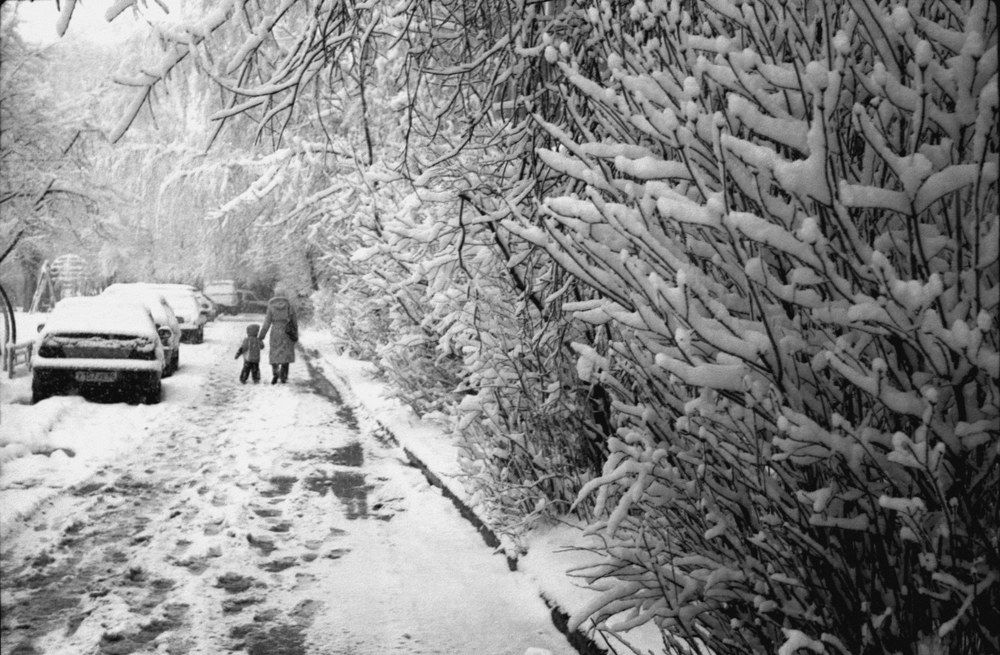 Photograph by Всеволод Коркунов