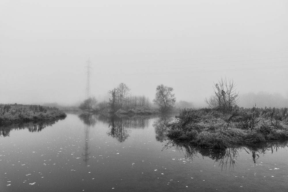 Photograph by Елена Стещенко