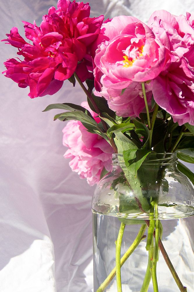 Photograph by Natalia Everatt