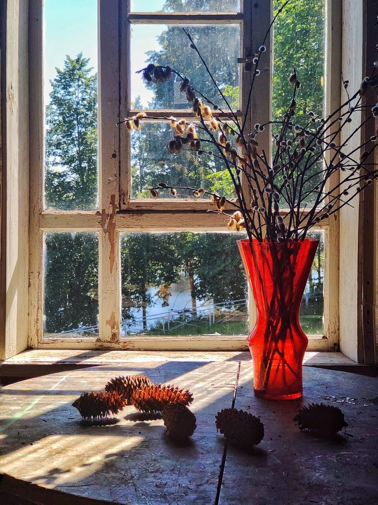 Photograph by Надежда