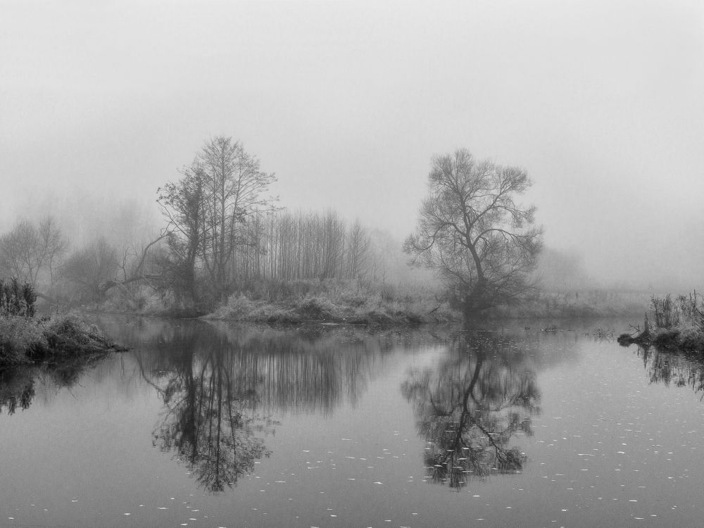 Photograph by Елена Стещенко