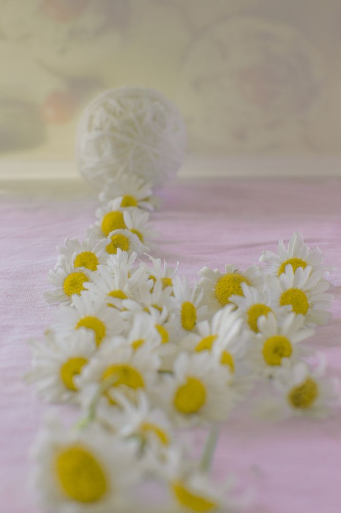 Photograph by Ksenia Paramonova