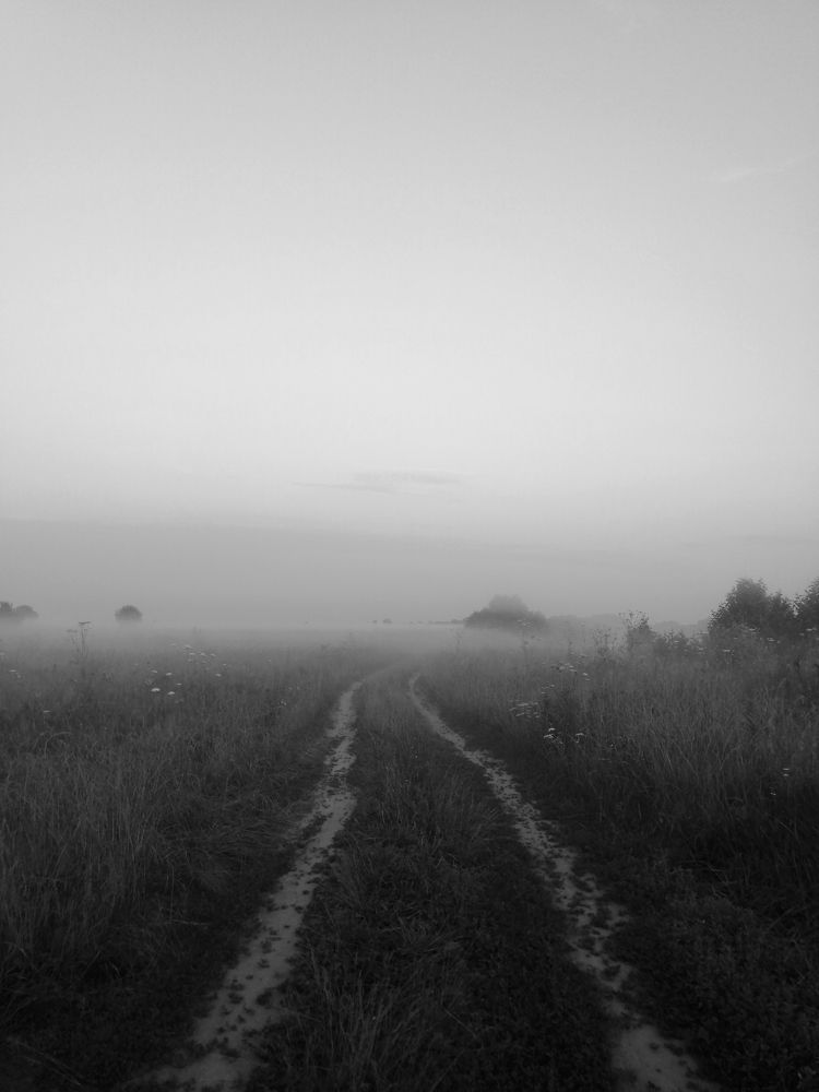 Photograph by Ольга Кузина