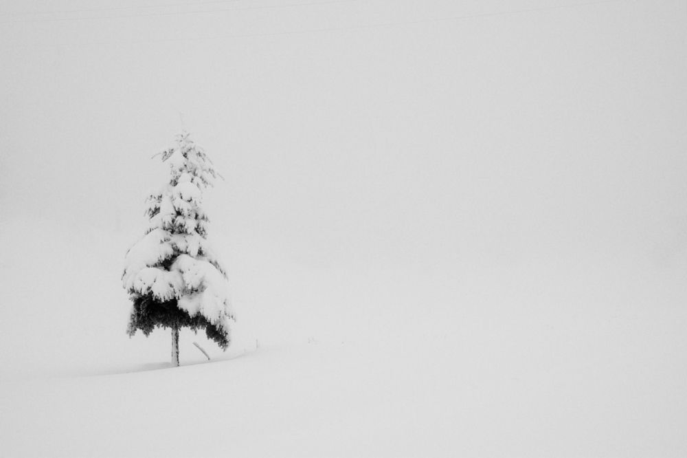 Photograph by ILIAS DIMITRIOU