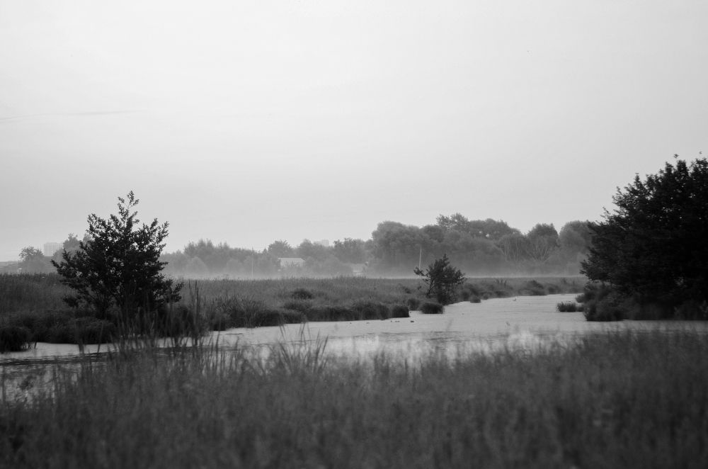 Photograph by Ольга Кузина