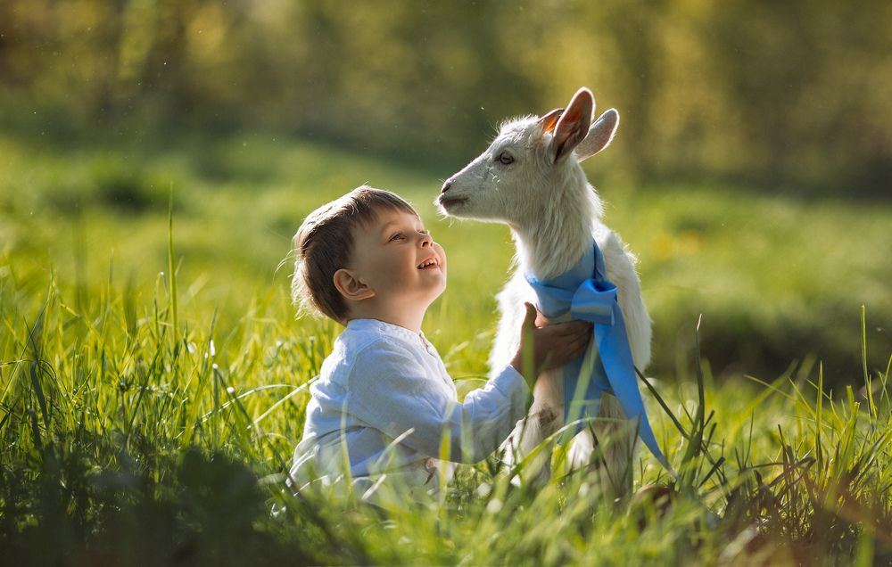 Photograph by Наталья Белова