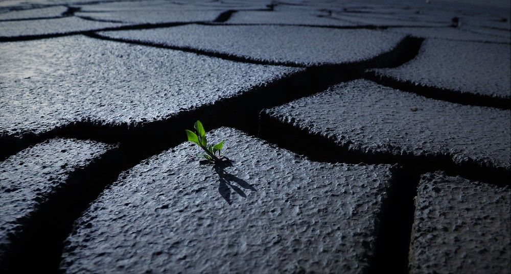 Photograph by Максимушкина Ольга