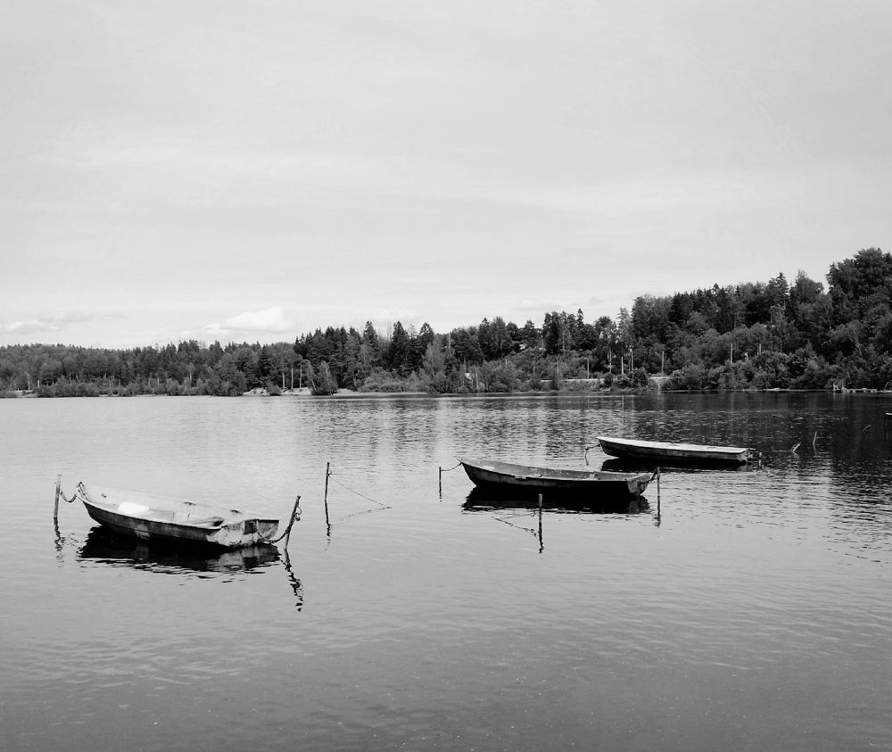 Фотография автора Natali