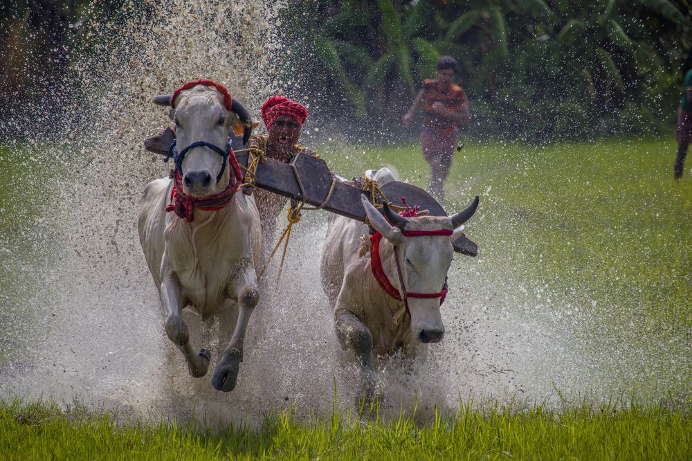 Photograph by Shameek Mukherjee