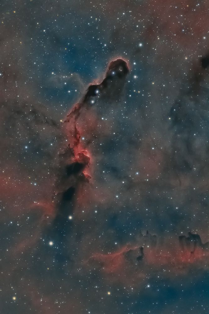 Photograph by Massimo Tamajo