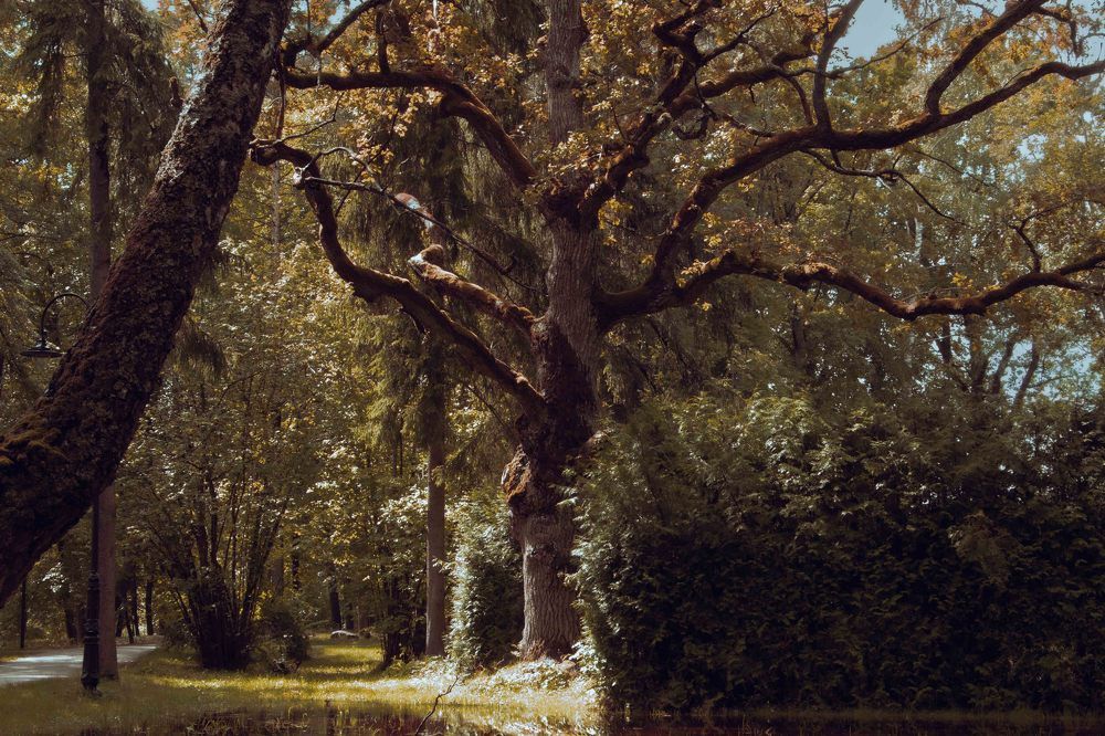 Photograph by Виталий Ивановский