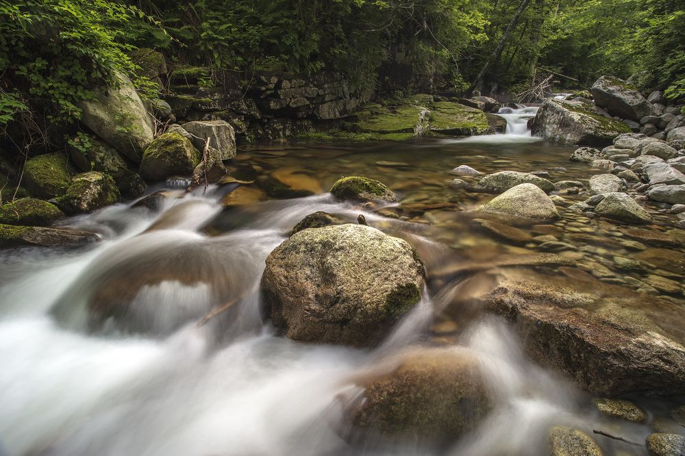 Photograph by ALEKSANDR KUZNETSOV