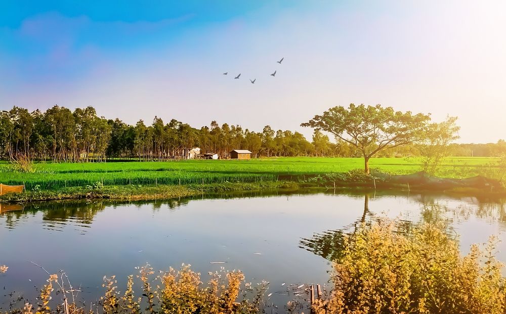 Photograph by Trishik Bose