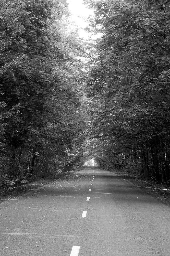 Photograph by Надежда Зайцева