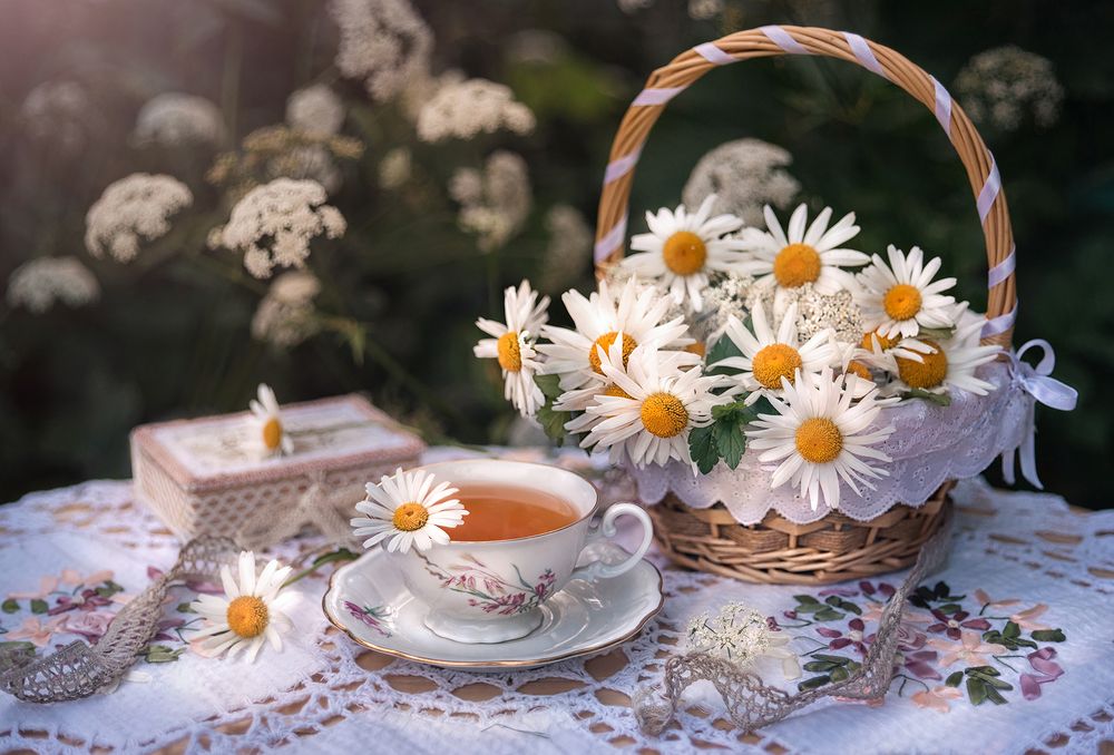 Чай с ромашкой
